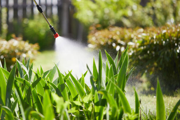 24/7 Emergency Wasp Removal experts in Montpelier, ID