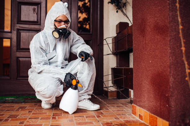 Reliable Wasp Removal contractor in Montpelier, ID by Show Me Pest Control